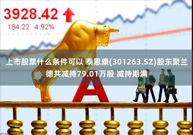 上市股票什么条件可以 泰恩康(301263.SZ)股东聚兰德共减持79.01万股 减持期满