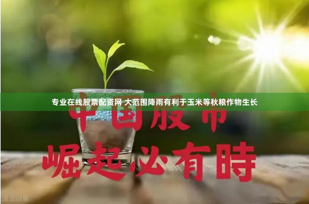 专业在线股票配资网 大范围降雨有利于玉米等秋粮作物生长