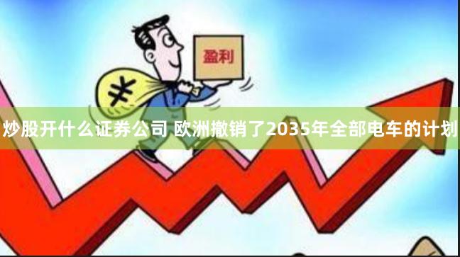 炒股开什么证券公司 欧洲撤销了2035年全部电车的计划