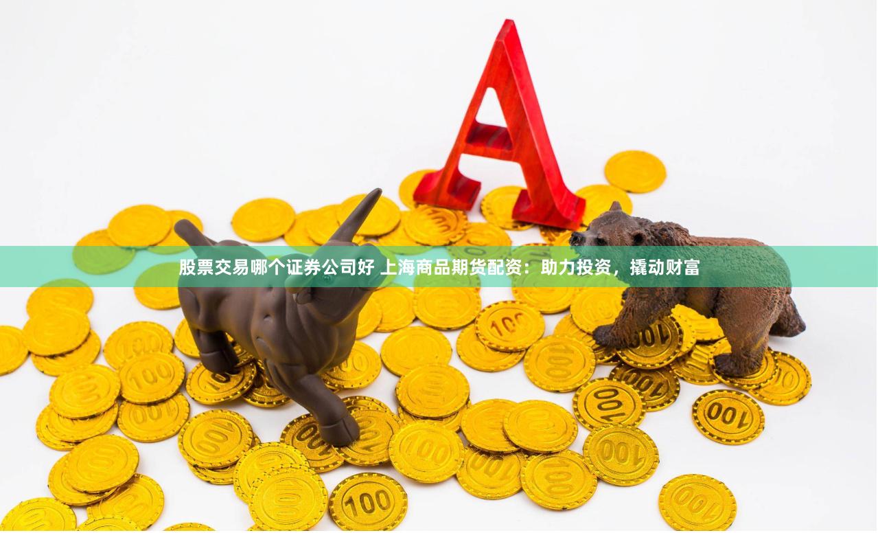 股票交易哪个证券公司好 上海商品期货配资：助力投资，撬动财富